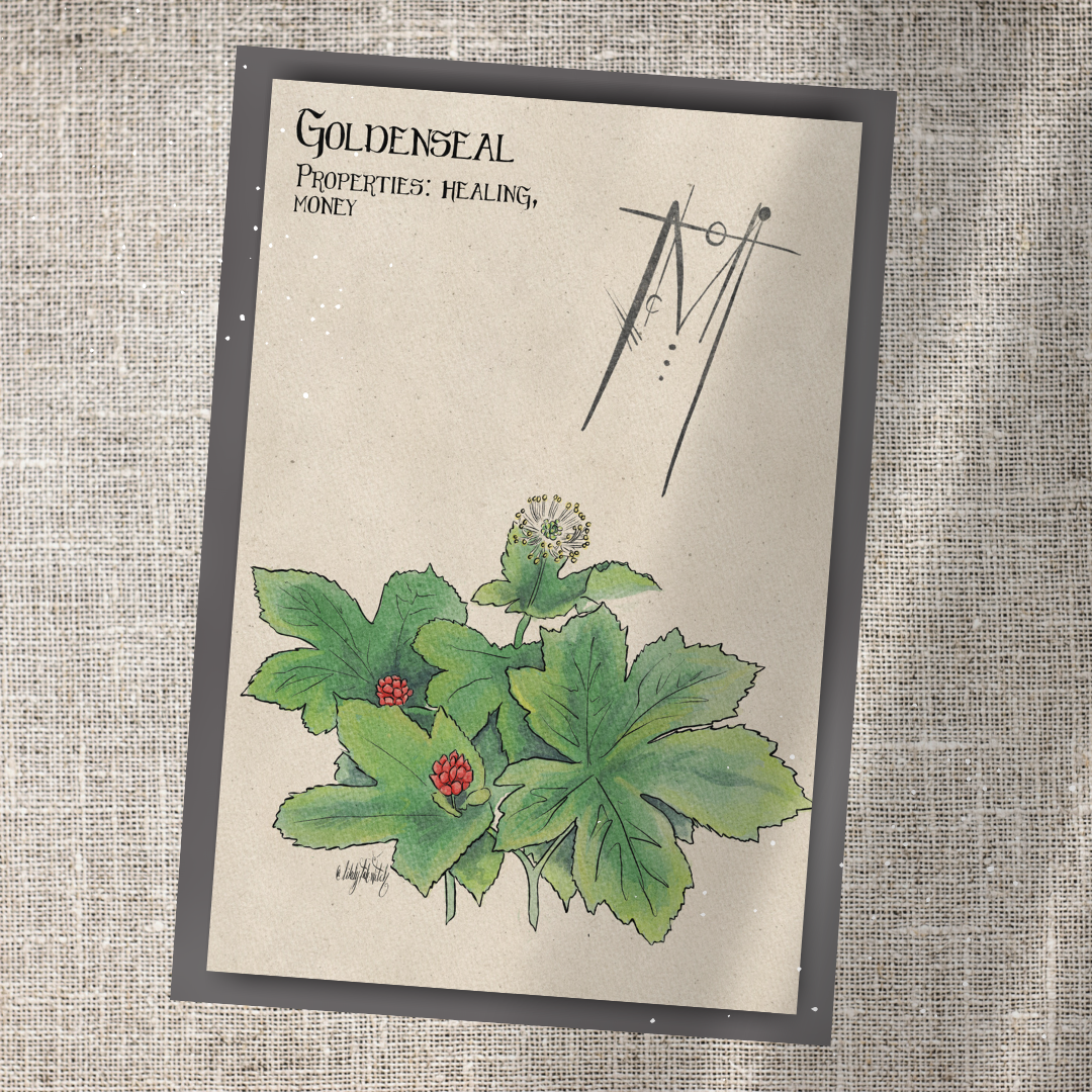 Individual Herbarium Prints-Likely Tale Prints