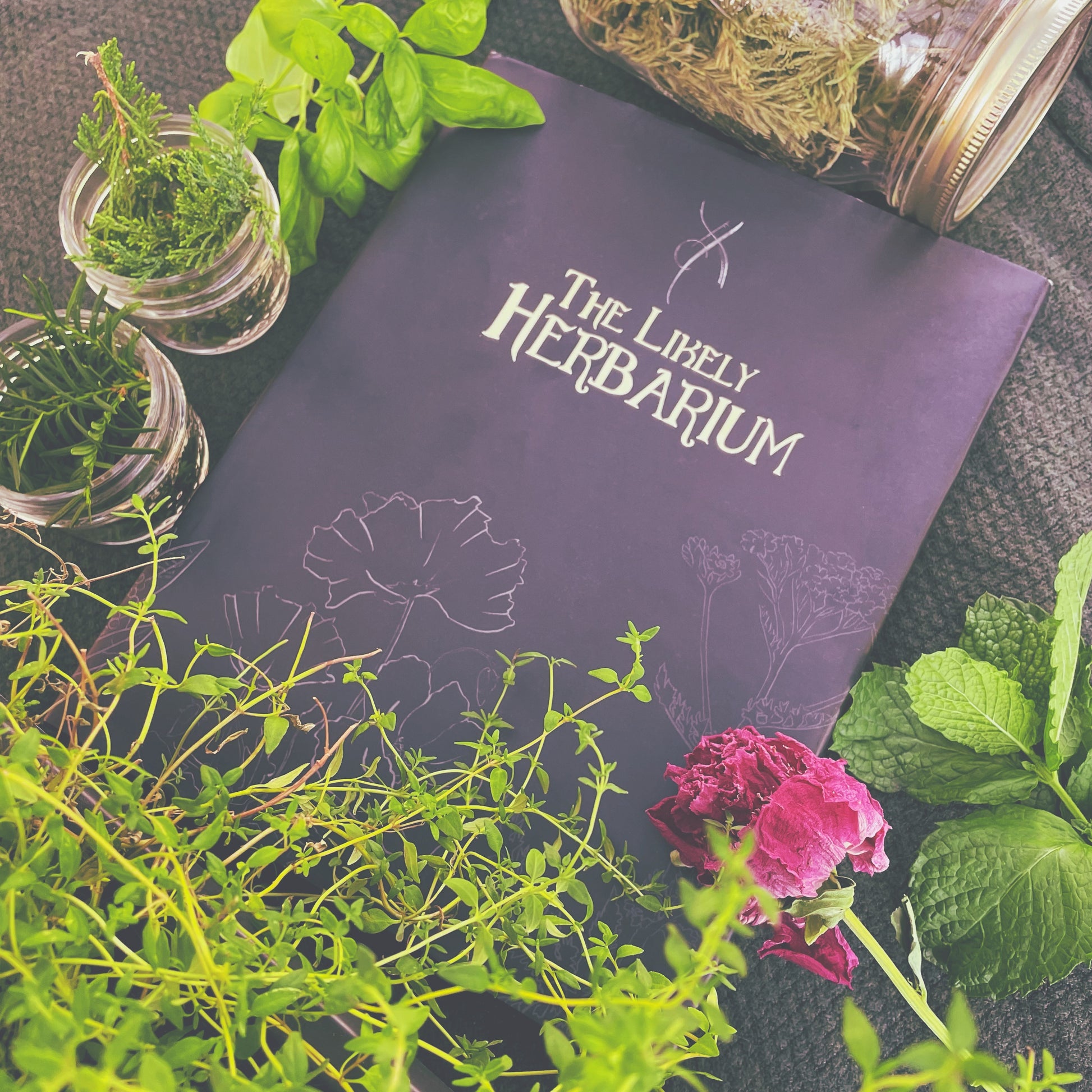 The Likely Herbarium-Likely Tale Prints