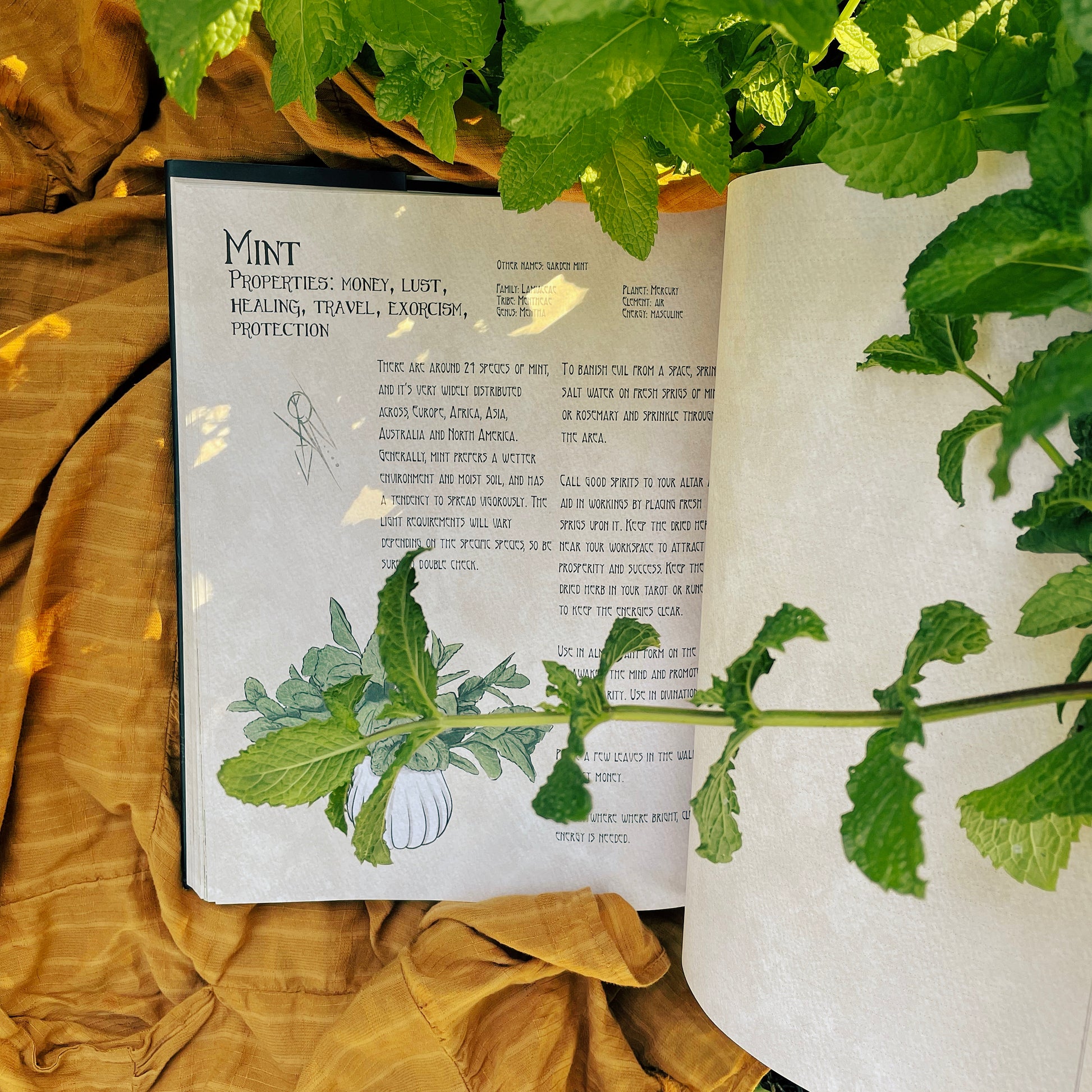 The Likely Herbarium-Likely Tale Prints