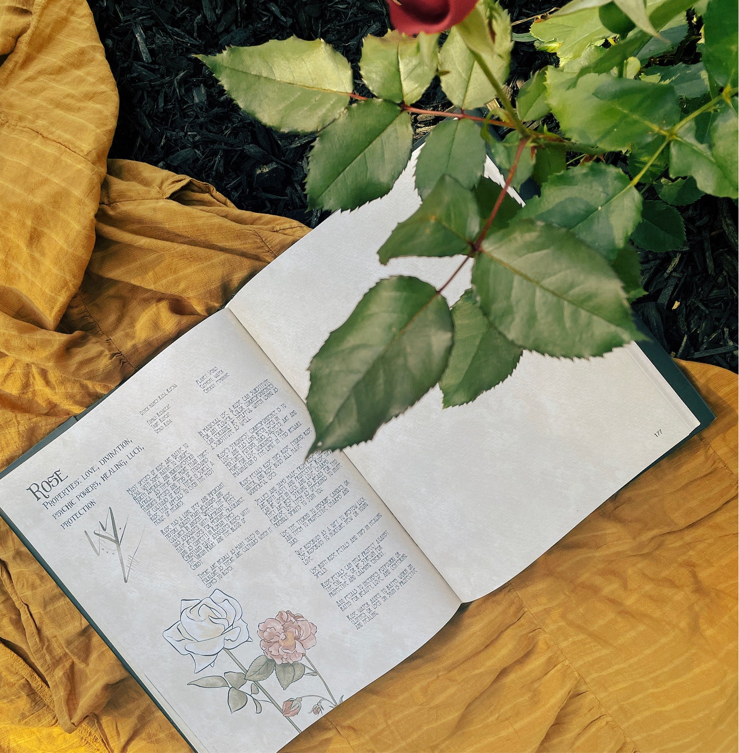 The Likely Herbarium-Likely Tale Prints