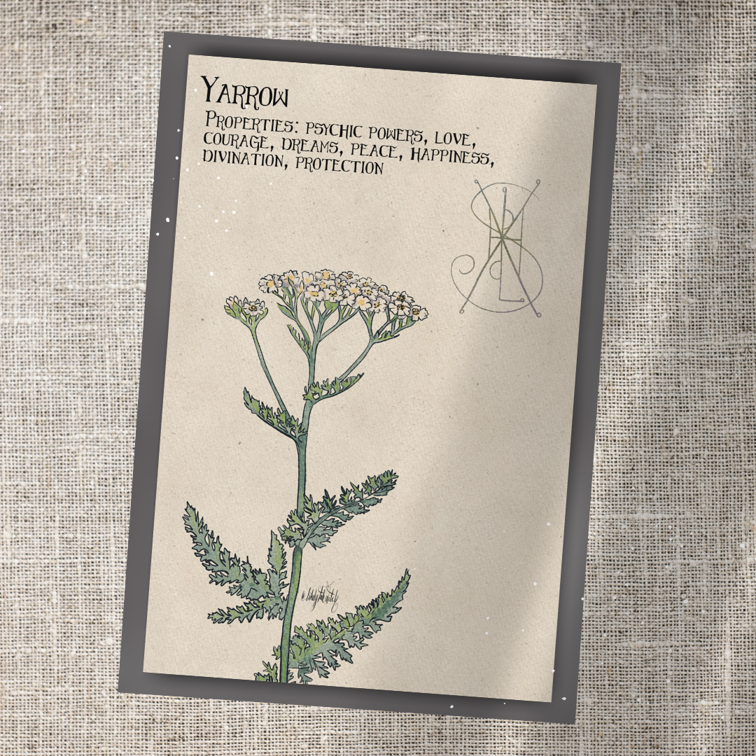 Individual Herbarium Prints-Likely Tale Prints