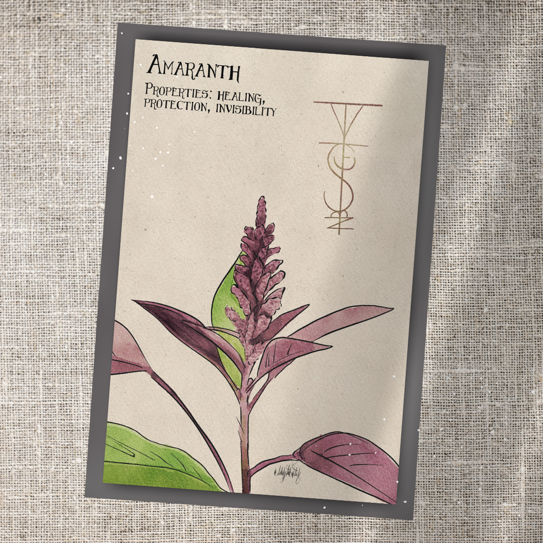 Individual Herbarium Prints-Likely Tale Prints