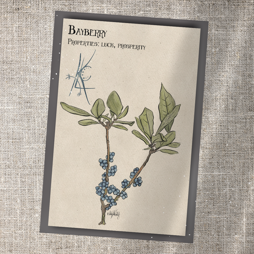 Individual Herbarium Prints-Likely Tale Prints