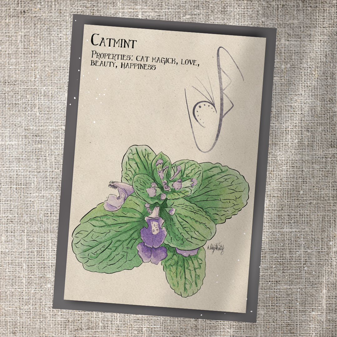 Individual Herbarium Prints-Likely Tale Prints