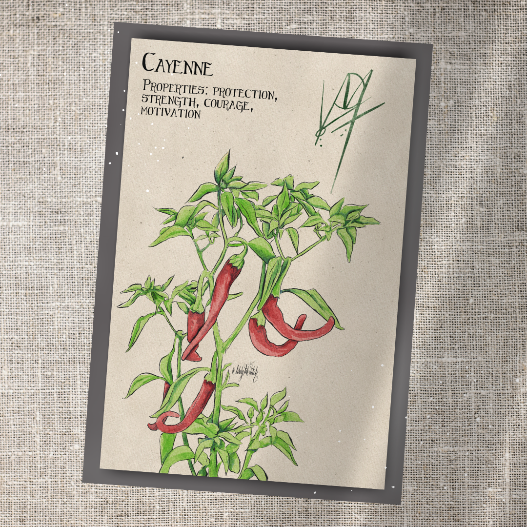 Individual Herbarium Prints-Likely Tale Prints