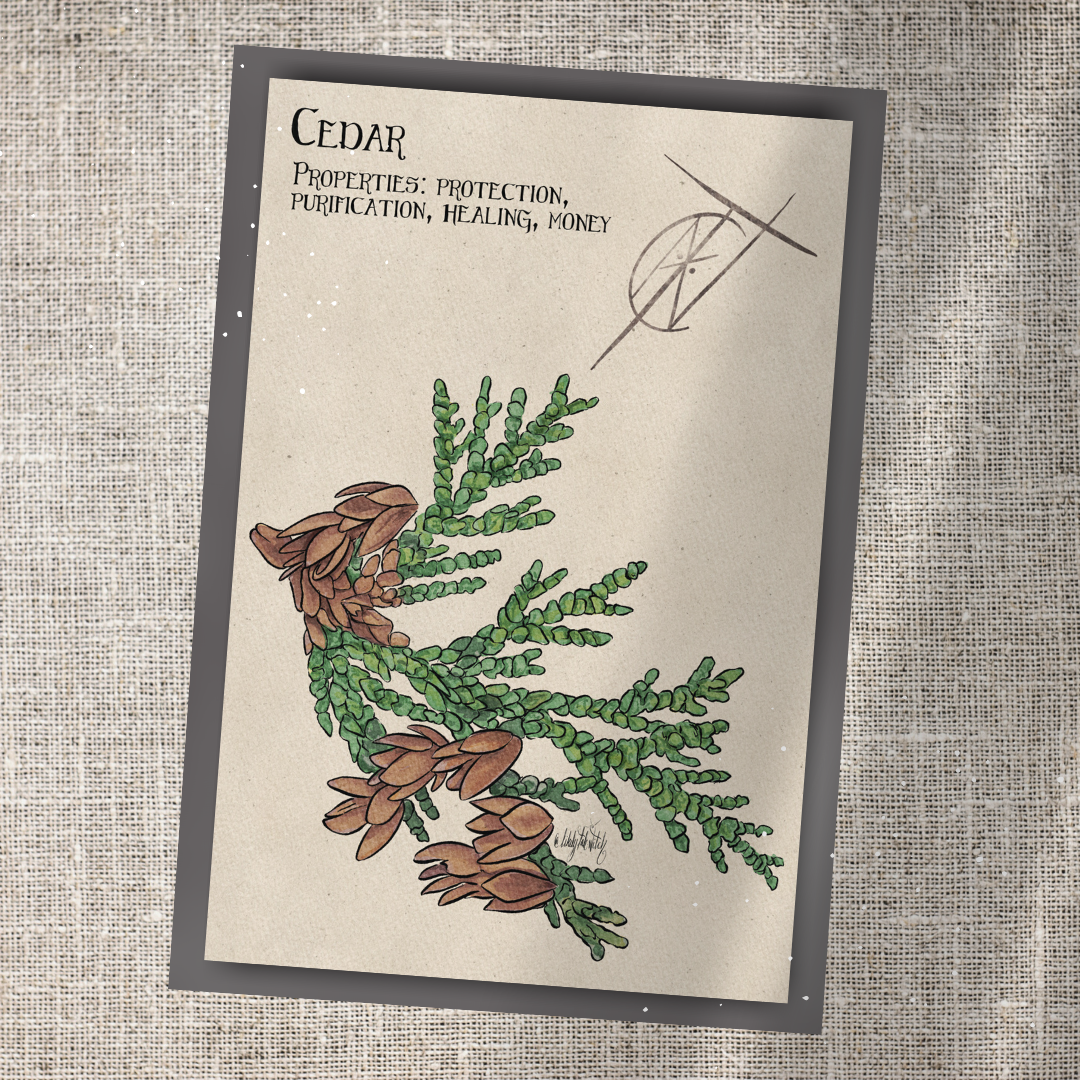 Individual Herbarium Prints-Likely Tale Prints