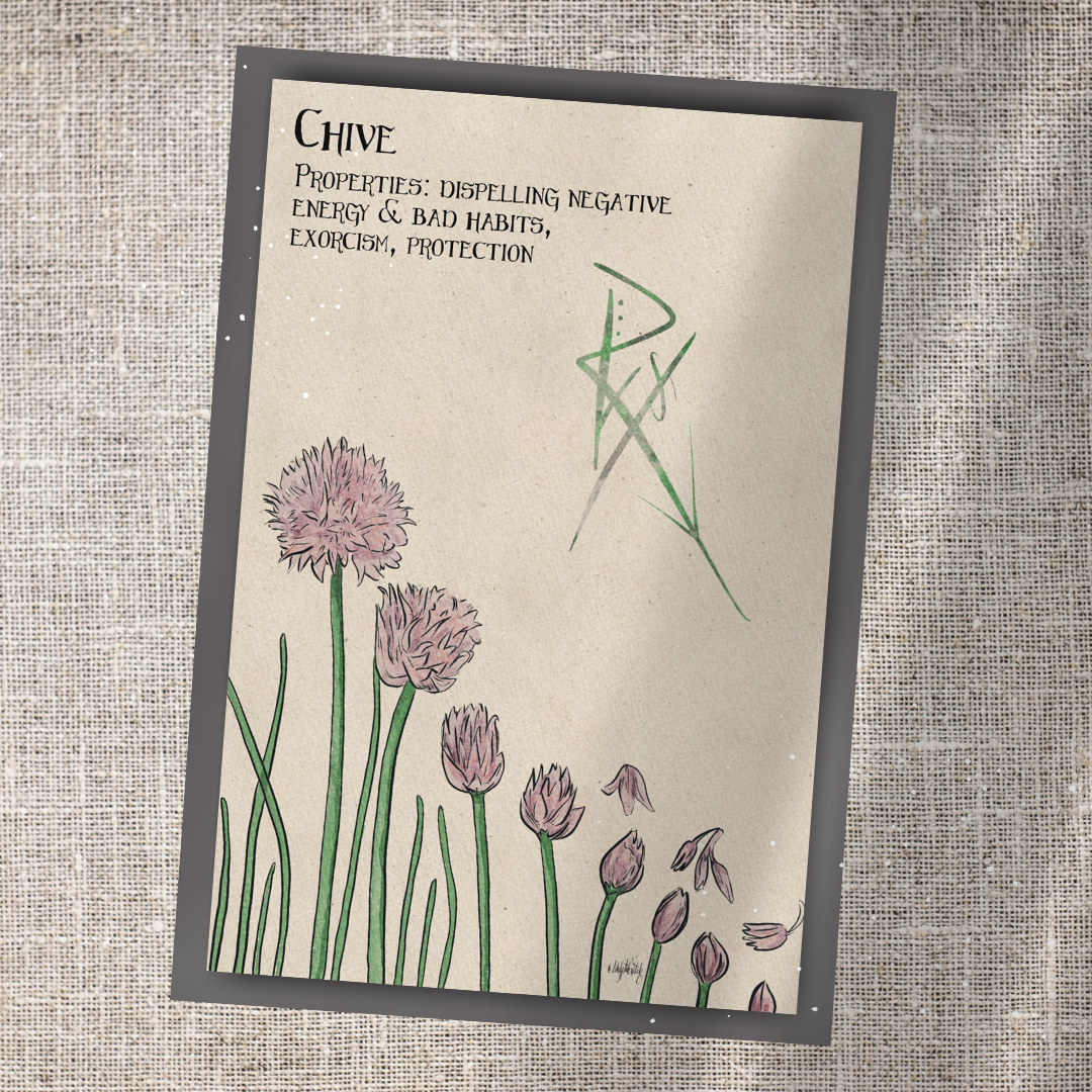 Individual Herbarium Prints-Likely Tale Prints