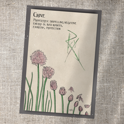 Individual Herbarium Prints-Likely Tale Prints