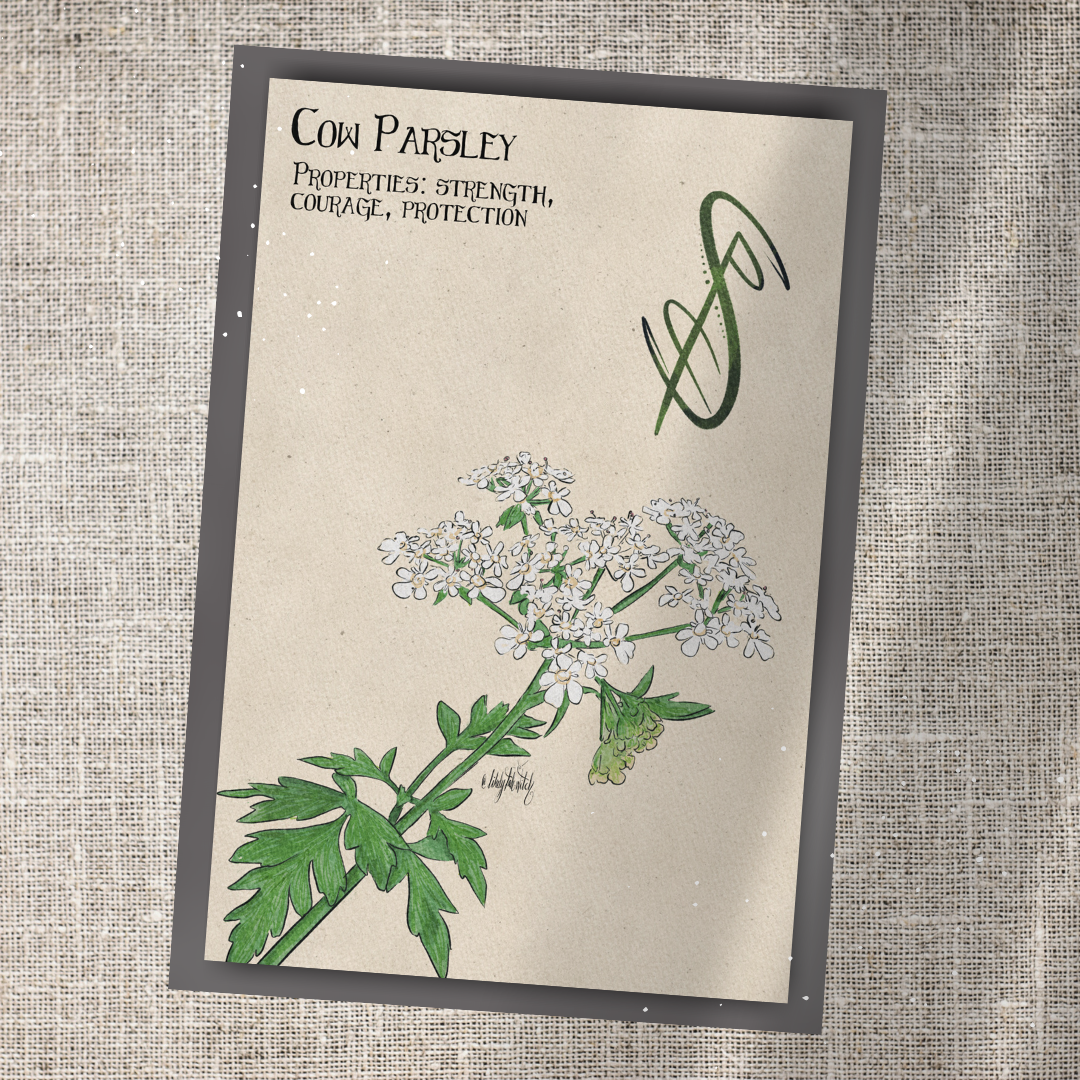 Individual Herbarium Prints-Likely Tale Prints