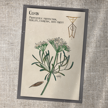 Individual Herbarium Prints-Likely Tale Prints