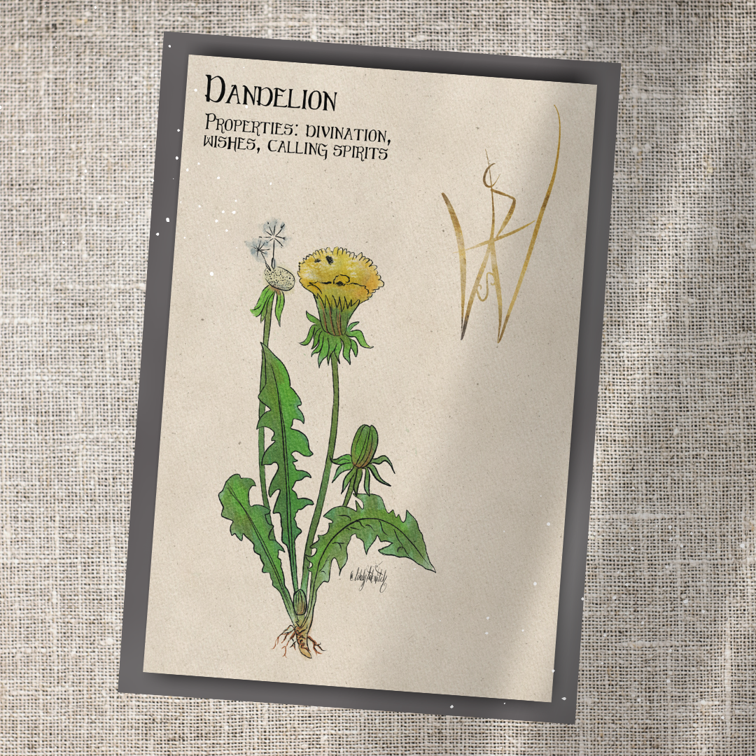 Individual Herbarium Prints-Likely Tale Prints