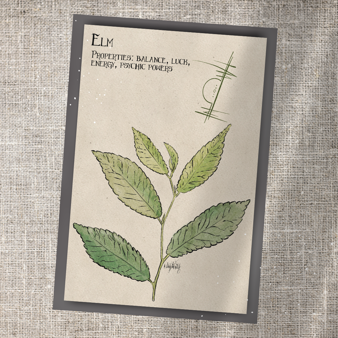 Individual Herbarium Prints-Likely Tale Prints