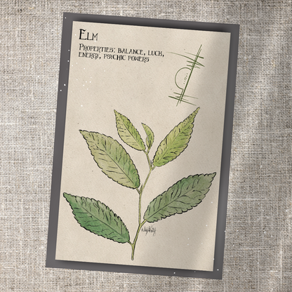 Individual Herbarium Prints-Likely Tale Prints