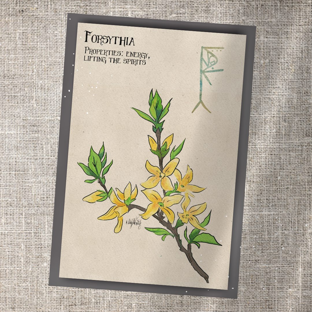 Individual Herbarium Prints-Likely Tale Prints