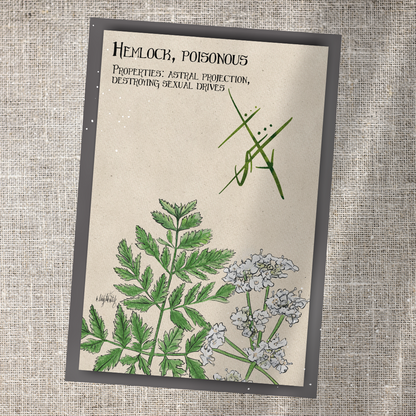 Individual Herbarium Prints-Likely Tale Prints