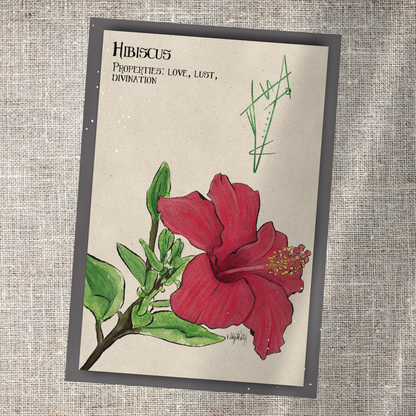Individual Herbarium Prints-Likely Tale Prints