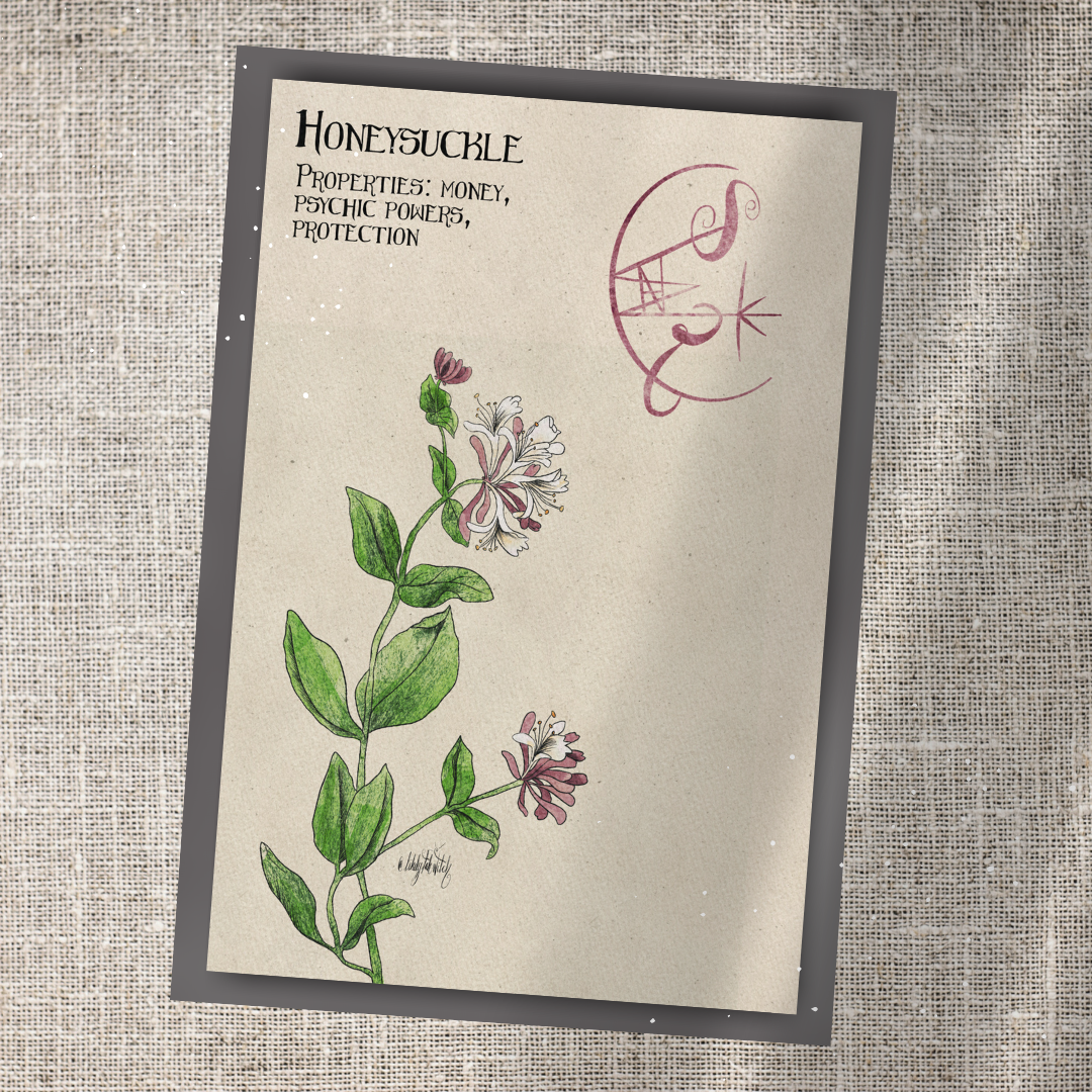 Individual Herbarium Prints-Likely Tale Prints