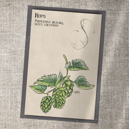 Individual Herbarium Prints-Likely Tale Prints