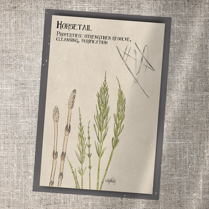 Individual Herbarium Prints-Likely Tale Prints