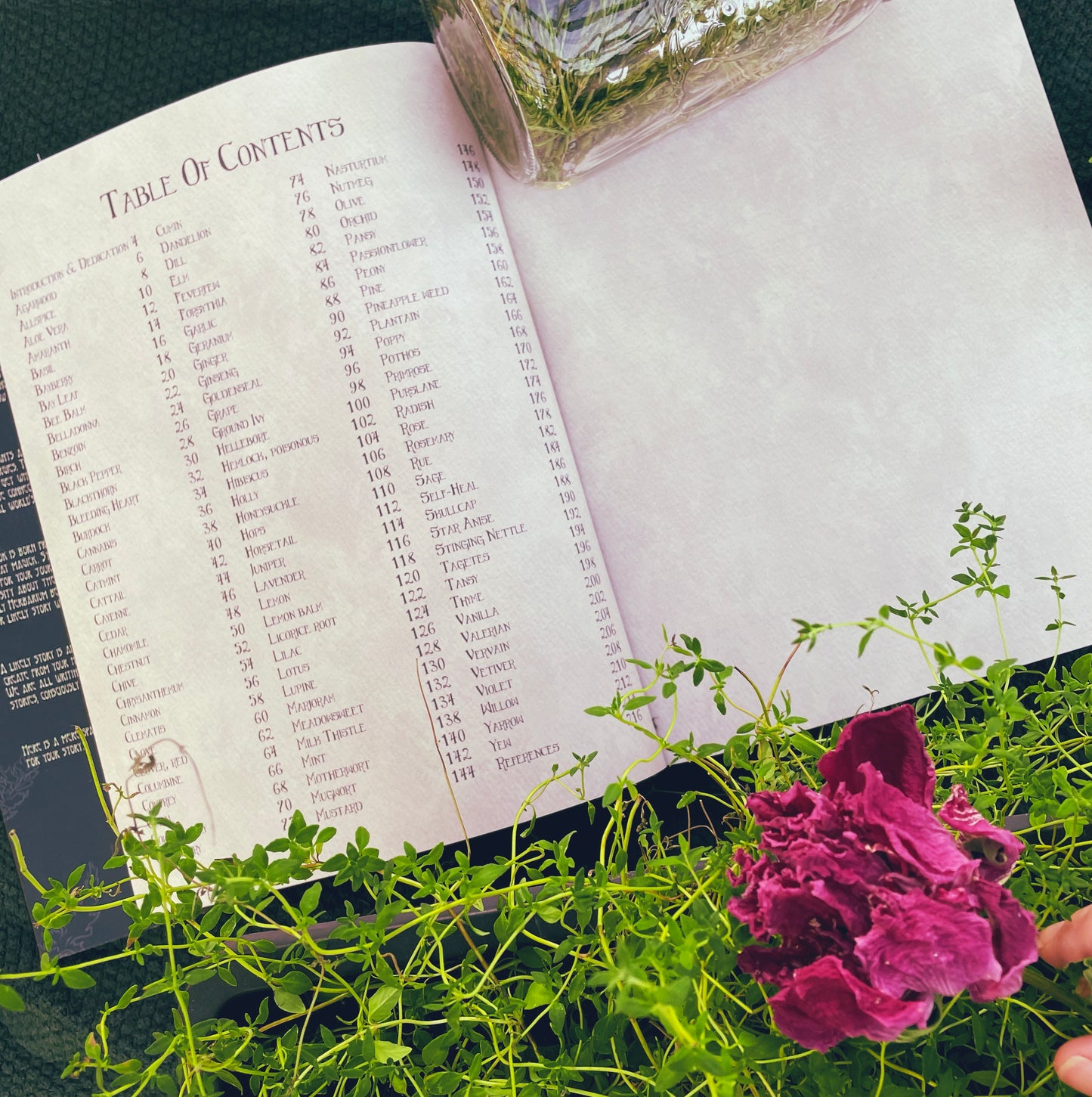 The Likely Herbarium-Likely Tale Prints