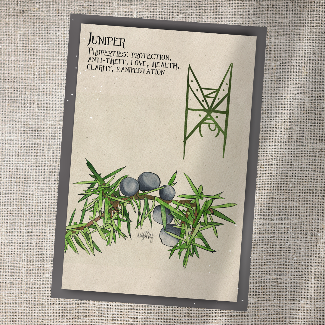 Individual Herbarium Prints-Likely Tale Prints