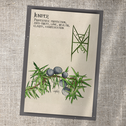 Individual Herbarium Prints-Likely Tale Prints