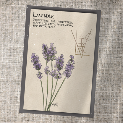 Individual Herbarium Prints-Likely Tale Prints
