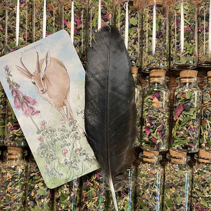 Divination Loose Incense