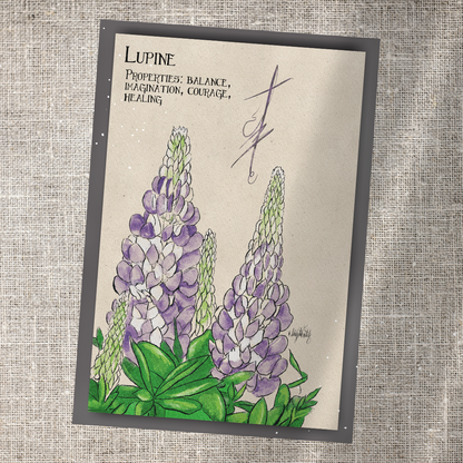 Individual Herbarium Prints-Likely Tale Prints