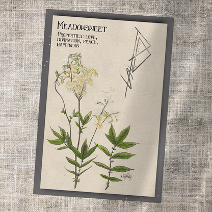 Individual Herbarium Prints-Likely Tale Prints