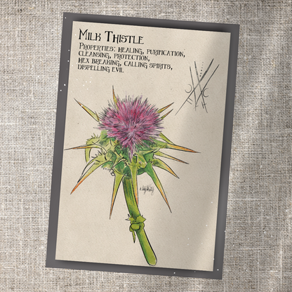 Individual Herbarium Prints-Likely Tale Prints