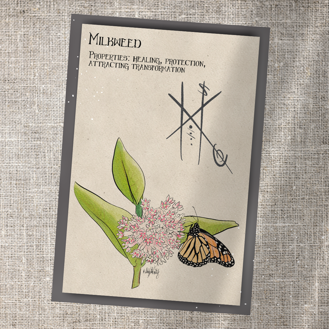 Individual Herbarium Prints-Likely Tale Prints