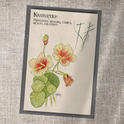 Individual Herbarium Prints-Likely Tale Prints