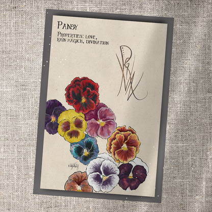 Individual Herbarium Prints-Likely Tale Prints