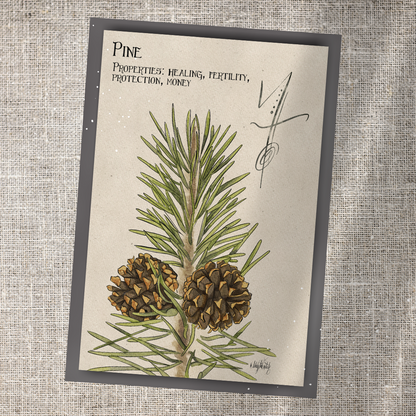 Individual Herbarium Prints-Likely Tale Prints