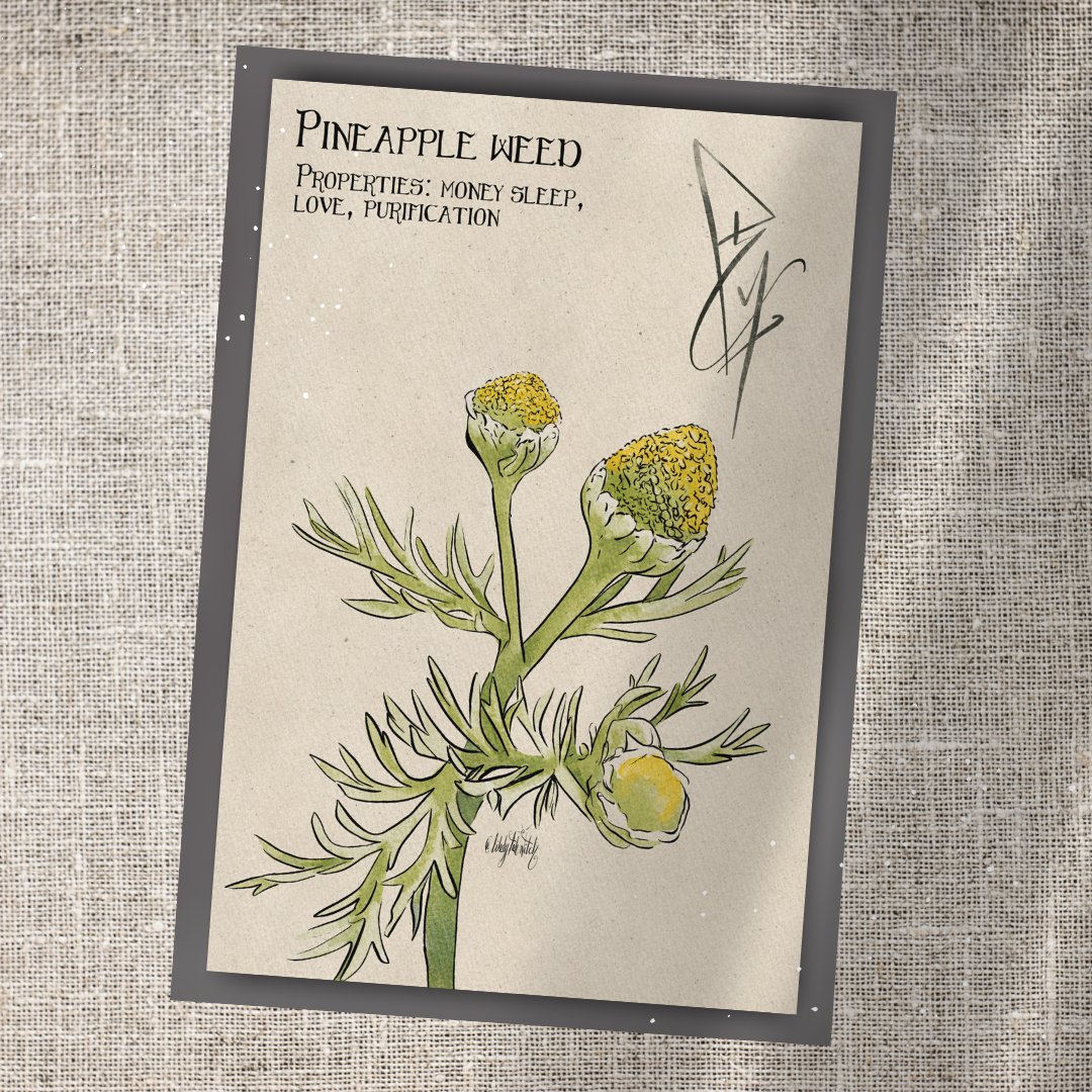 Individual Herbarium Prints-Likely Tale Prints