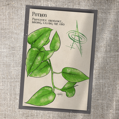 Individual Herbarium Prints-Likely Tale Prints