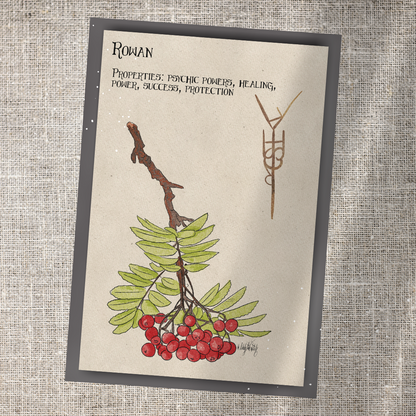 Individual Herbarium Prints-Likely Tale Prints