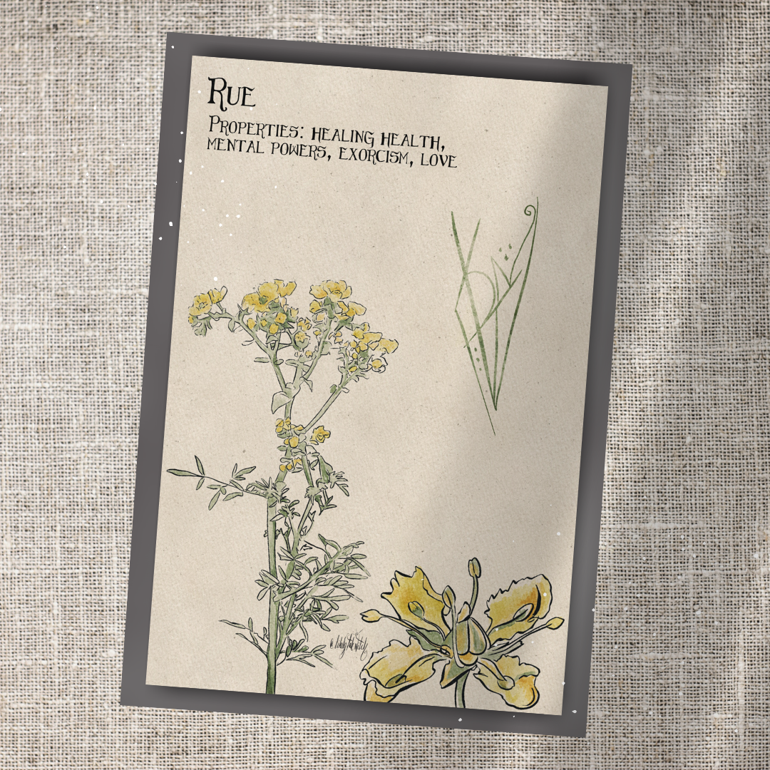 Individual Herbarium Prints-Likely Tale Prints
