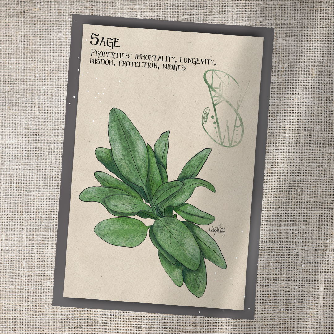 Individual Herbarium Prints-Likely Tale Prints