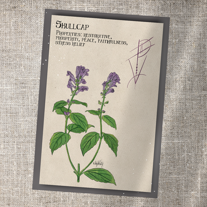 Individual Herbarium Prints-Likely Tale Prints
