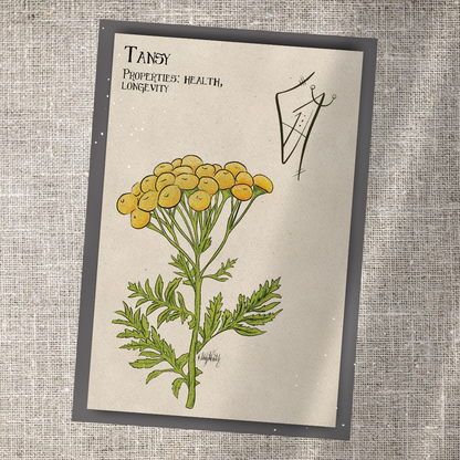Individual Herbarium Prints-Likely Tale Prints