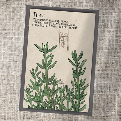 Individual Herbarium Prints-Likely Tale Prints