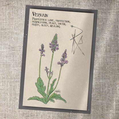 Individual Herbarium Prints-Likely Tale Prints