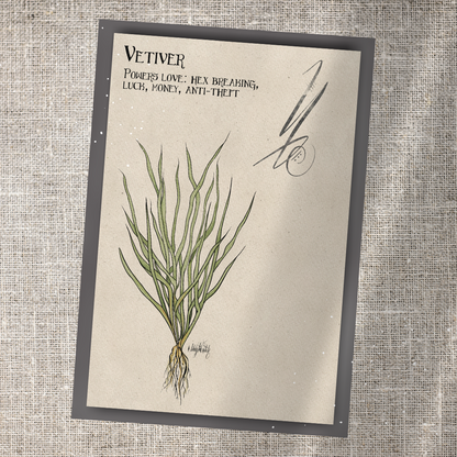 Individual Herbarium Prints-Likely Tale Prints
