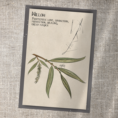Individual Herbarium Prints-Likely Tale Prints