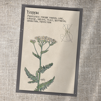 Individual Herbarium Prints-Likely Tale Prints