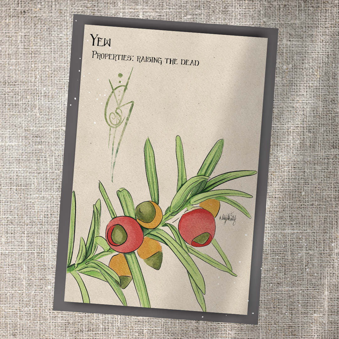 Individual Herbarium Prints-Likely Tale Prints